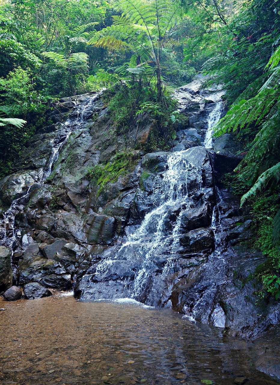 waterfall, nature, travel, exploration, outdoors, jungle, curug batu gede, forest, jungle, jungle, jungle, jungle, jungle